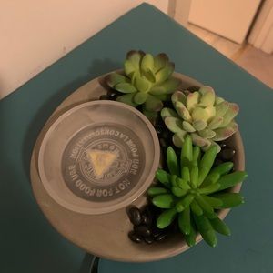 Scentsy Garden Warmer